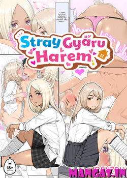 Iede Gal o Hirottara Harem ni Natta Hanashi