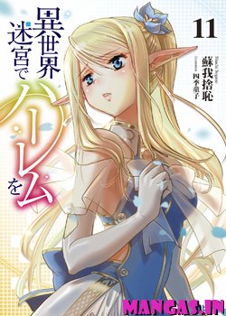 Isekai Meikyuu de Harem o (Novela)