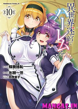 Isekai Meikyuu de Harem o