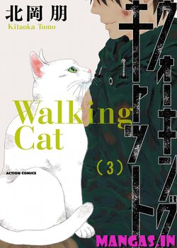 Walking Cat